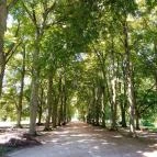 Gránátos Étterem Fertőd - Egyéb