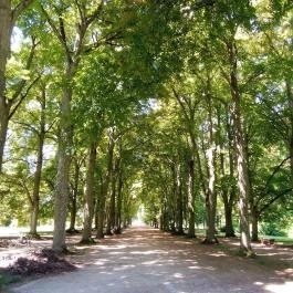 Gránátos Étterem, Fertőd - Egyéb