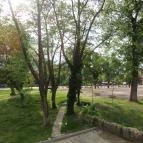 Harkányi Psoriasis Centrum Harkány - Medence/kert