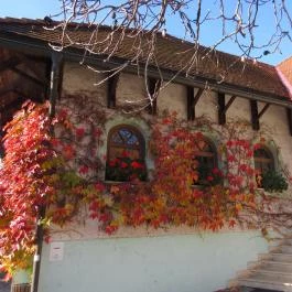 Hasik Hotel, Döbrönte - Külső kép