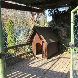 Hasik Hotel, Döbrönte - Medence/kert