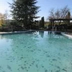 Hasik Hotel Döbrönte - Medence/kert