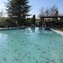 Hasik Hotel, Döbrönte - Medence/kert