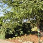 Hasik Hotel Döbrönte - Környék