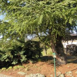 Hasik Hotel, Döbrönte - Környék