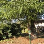 Hasik Hotel Döbrönte - Környék