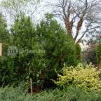 Hasik Hotel Döbrönte - Környék