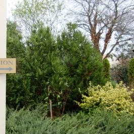 Hasik Hotel, Döbrönte - Környék