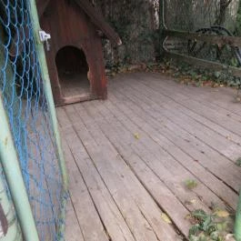 Hasik Hotel, Döbrönte - Medence/kert