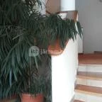 Hasik Hotel Döbrönte - Belső