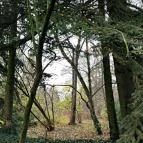 Ensana Thermal Sárvár Sárvár - Környék