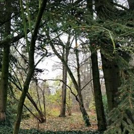 Ensana Thermal Sárvár, Sárvár - Környék