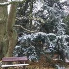 Ensana Thermal Sárvár Sárvár - Környék