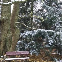 Ensana Thermal Sárvár, Sárvár - Környék