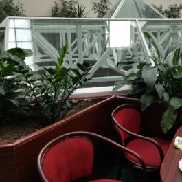 Ensana Thermal Sárvár, Sárvár - Vendéglátás