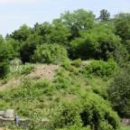 Hegyestű Geológiai Bemutatóhely Monoszló - 