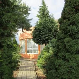 Hévíz Resort & Spa Cserszegtomaj - Medence/kert