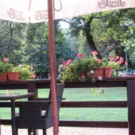 Hotel Aventinus Nyíregyháza - Környék