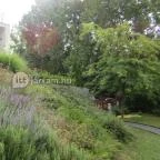 Hotel Bonvino Wine & Spa Badacsony - Külső kép