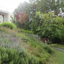 Hotel Bonvino Wine & Spa, Badacsony - Külső kép