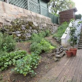 Hotel Bonvino Wine & Spa, Badacsony - Medence/kert