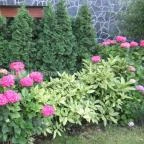 Hotel Bonvino Wine & Spa Badacsony - Medence/kert