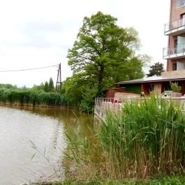 Hotel Corvus Aqua, Orosháza - Medence/kert