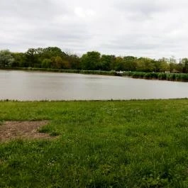 Hotel Corvus Aqua, Orosháza - Medence/kert