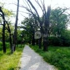 Hotel Corvus Aqua Orosháza - Környék