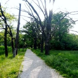 Hotel Corvus Aqua, Orosháza - Környék
