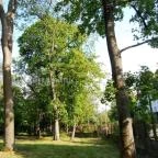 Hotel Corvus Aqua Orosháza - Környék