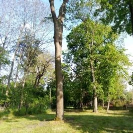 Hotel Corvus Aqua, Orosháza - Környék