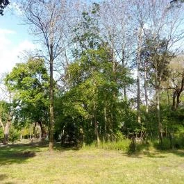 Hotel Corvus Aqua, Orosháza - Környék