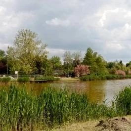 Hotel Corvus Aqua, Orosháza - Környék