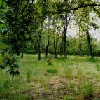 Hotel Corvus Aqua Orosháza - Környék