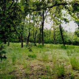 Hotel Corvus Aqua, Orosháza - Környék