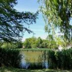 Hotel Corvus Aqua Orosháza - Környék