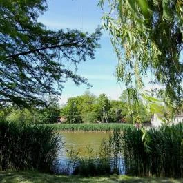 Hotel Corvus Aqua, Orosháza - Környék