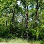 Hotel Corvus Aqua Orosháza - Környék