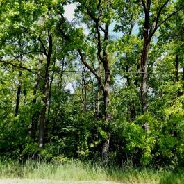 Hotel Corvus Aqua, Orosháza - Környék