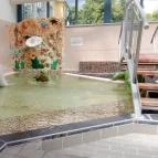 Hotel Eger & Park Eger - Medence/kert