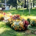 Hotel Fürdőház Nyíregyháza - Egyéb