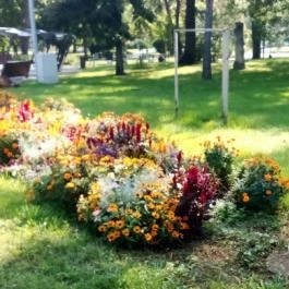 Hotel Fürdőház, Nyíregyháza - Egyéb