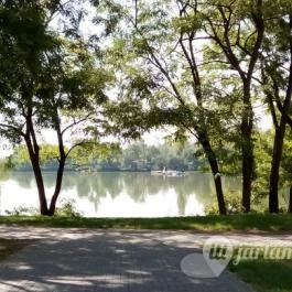 Hotel Fürdőház, Nyíregyháza - Egyéb