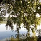 Hotel Fürdőház Nyíregyháza - Egyéb