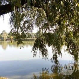 Hotel Fürdőház, Nyíregyháza - Egyéb