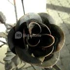 Hercegasszony Birtok Mezőtúr - Medence/kert