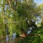 Hercegasszony Birtok Mezőtúr - Medence/kert