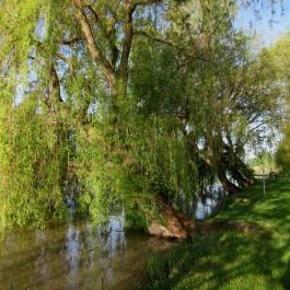 Hercegasszony Birtok, Mezőtúr - Medence/kert