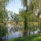 Hercegasszony Birtok Mezőtúr - Medence/kert